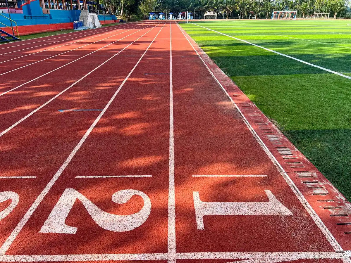 衡阳市学校塑胶跑道EPDM颗粒 - 厂家