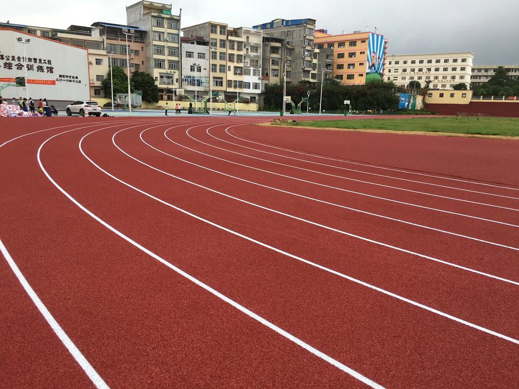 衡阳市学校塑胶跑道塑胶跑道材料 - 方案